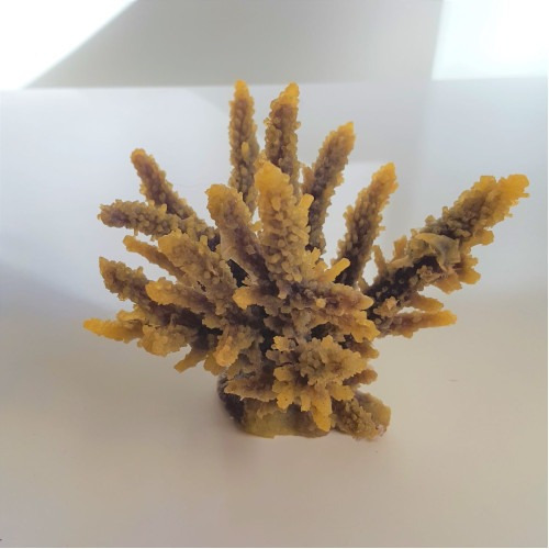 Enfeite Para Aquários Coral Em Silicone - Kittyclub