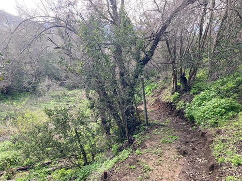 Sitio En Venta En Curacaví