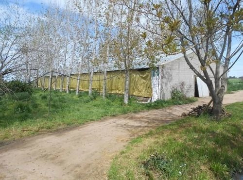 Venta Chacra Ruta 32 - Canelón Chico