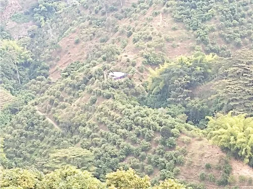 Se Vende Finca Pijao Quindío