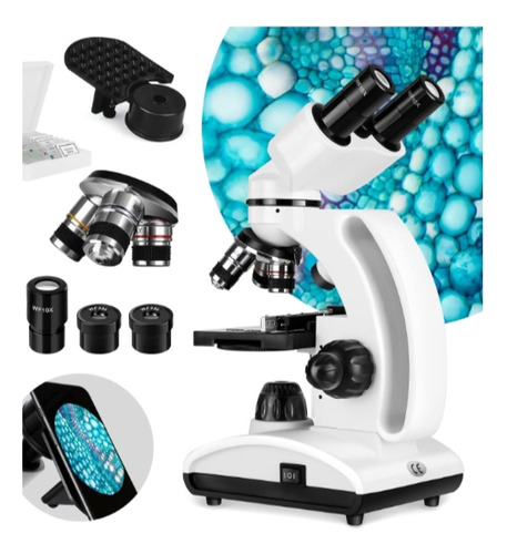 Microscopio Binocular