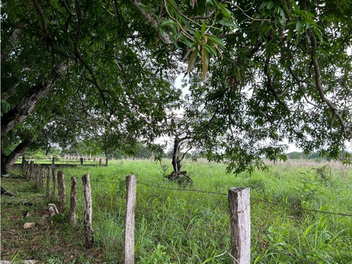 Impresionante Rancho En Manuel Avila Camacho - Tonalá