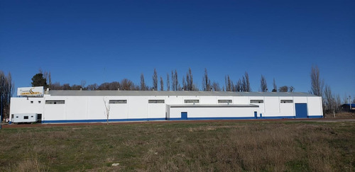 Imagen 10 de 10 de Alquilo Galpón 2000 M2 70 M2 Ofi Y Predio 1 Has Cipolletti