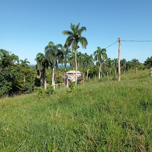 Imagen 6 de 9 de Lote En El Sector Catalina, Municipio Cabrera