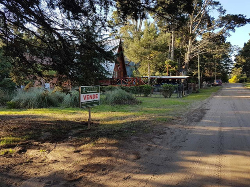 Imagen 2 de 6 de Lotes Linderos De 350m2 Venden Juntos /separados-oportunidad