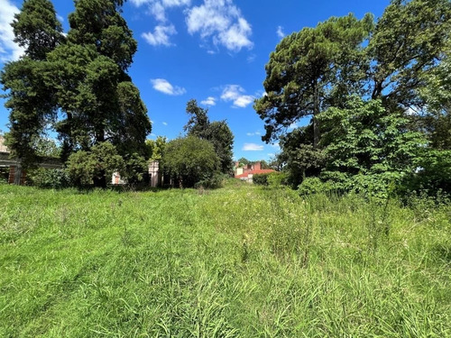 Imagen 2 de 7 de Terreno En Venta En San Miguel