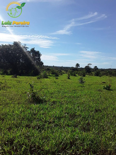 Imagem 10 de 15 de Fazenda Á Venda Em Dois Irmãos - To - 760 Hectares (dupla Aptidão) - 2086