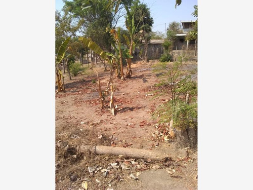 Imagen 1 de 6 de Terreno En Venta Cruz De Corazón