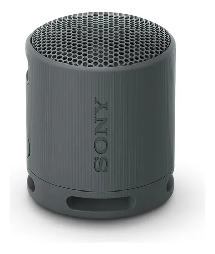 Parlante Inalámbrico Portátil Sony Xb100 Color Negro