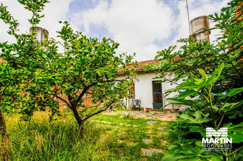 Casa En Venta En Martinez 3 Ambientes Con Jardín. Apto Crédito. A 3 Cuadras Del Hipódromo.