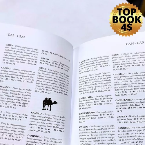 O Maravilhoso Livro Dos Sonhos Jogo Bicho Silvano Ventura Edição