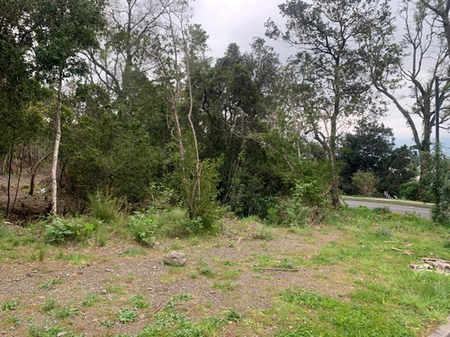 Terreno Construccion En Pucón