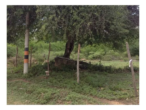 Lote En Venta 7.156 Mts2 Ricaurte Cundinamarca