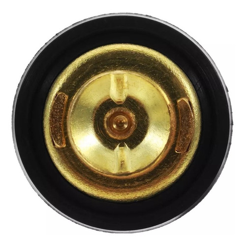 Válvula Termostática Motor Popa Mercury 2t 15hp 18hp Super