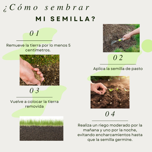 Semilla De Pasto Mezcla Germinaplus Clima Templado 1 Kg 40m2