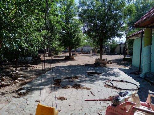 Imagen 9 de 14 de Dos Terrenos En Venta Al Norte De La Cd. Col. Nuevo Triunfo