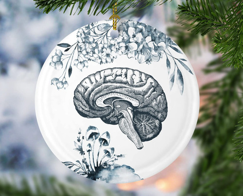 Adorno Porcelana Navidad Anatomia Cerebro Arbol Decoracion