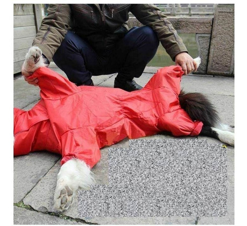 Capa Pet Chuva Capuz Cães Vermelha Ou Azul Raças Grande