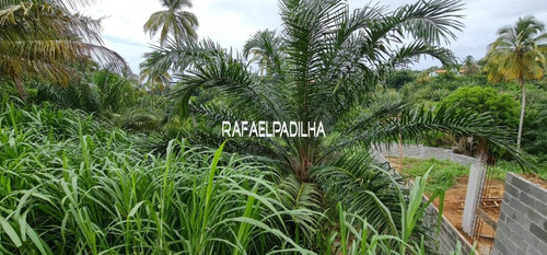 Imagem 2 de 8 de Lote Em Condomínio Localizado(a) No Bairro Praia Do Sul Em Ilhéus / Ilhéus - 84216680