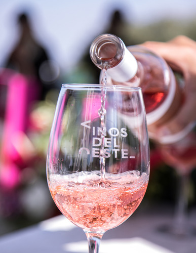 12 Botellas De Vino Rosado Juego De Pelota 03 Petite Sirah 7
