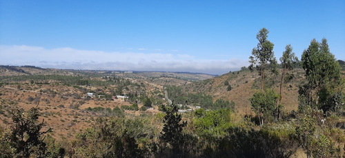 Hasta 9 Terrenos De 1ha A 42ha Total Aprox: 130ha La Rudilla