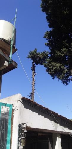 Imagen 3 de 5 de Poda En Altura Extraccióne Los Amigos