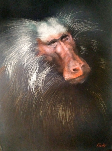 Mandril, Pastel De Marta Ratti.