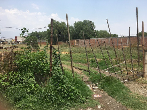 Imagen 3 de 8 de Terreno Habitacional En San Vicente Chicoloapan