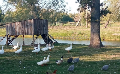 Chacra En Venta - Colonia Del Sacramento