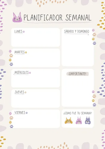 Planner Organizador Semanal De Objetivos Varios Diseños Pdf
