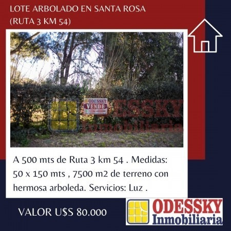 Imagen 1 de 6 de Santa Rosa , Cañuelas -lote Arbolado En Venta