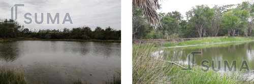 Rancho En Venta Sobre Carretera Tuxpan - Tampico, Ozuluama Veracruz