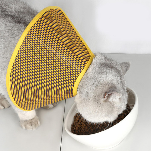 Cono De Gato Cono De Cuello De Gato Cono De Recuperación S