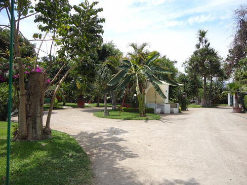 Terreno Comercial En Yautepec , Yautepec, Morelos - Ari-507-tu