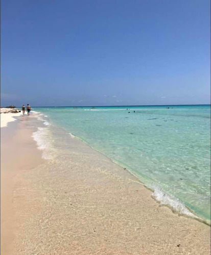 Imagen 5 de 7 de Renta Departamento Playa Del Carmen Junto A La Quinta Av