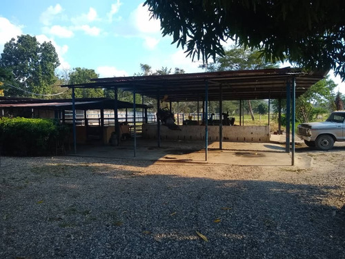 Imagen 26 de 26 de Finca En Apartadero - Cojedes