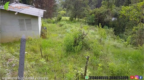 Imagen 13 de 14 de En Venta Lote Guarne Vereda La Brizuela 6.500m²