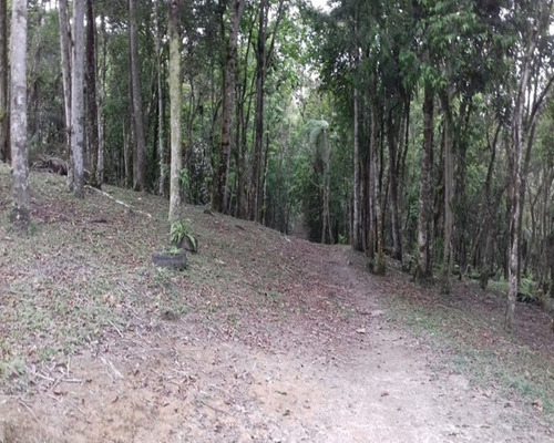 Imagem 2 de 7 de Terreno Pronto Para Formar A Chácara Dos Seus Sonhos. Estuda Contra Proposta! - 221 - 32982733
