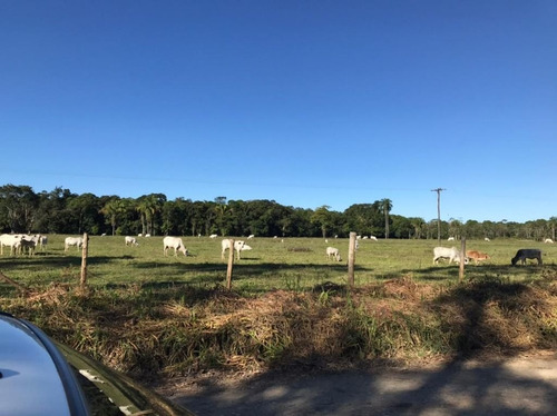 Imagem 2 de 29 de Fazenda À Venda, 3509000 M² Por R$ 2.000.000 - Centro - Pariquera-açu/sp - Fa0216