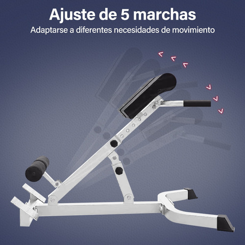 Banco Ejercicio Silla De Romana Ajustable De Hiperextensión
