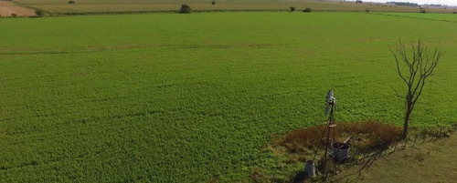 Imagen 2 de 9 de 12 Hectáreas Agrícolas En Aldea San Antonio, Gualeguaychú.