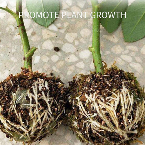 Bola De Enraizamiento Para Plantas Bolsas De Acodo Aéreo Est