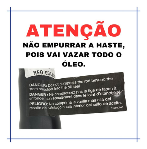 Par Amortecedor Traseiro Dodge Journey 2011 2012 Até 2017