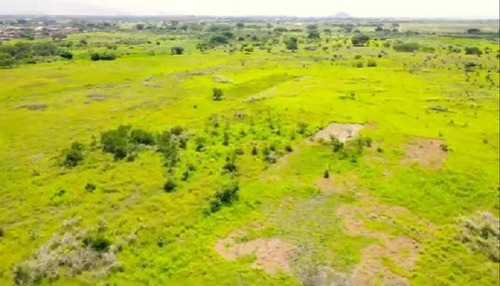 Imagen 6 de 9 de Terreno En Venta Guacara Ciudad Alianza