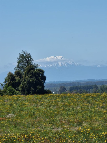 Parcelas En Frutillar, Bosque Y Praderas. Financiamiento