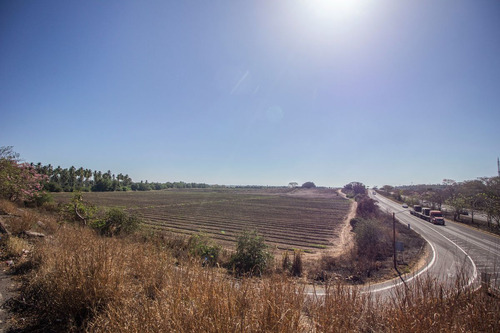 Venta De Terreno En Armeria, Colima