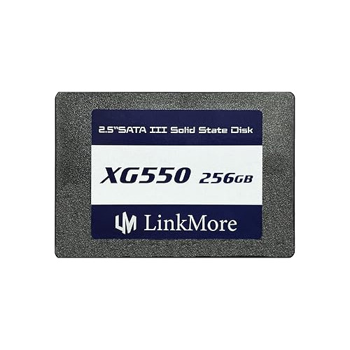 Linkmore Xg*******gb 2.5 Sata Iii (6gb-s) Ssd Interno, Unida