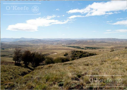 Imagen 17 de 24 de Campo De 2400 Has En Venta En Bariloche - Patagonia Argentina - Fly Fishing