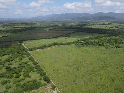 Imagen 7 de 30 de Finca En Venta Aguadagrande, Siquisique Cod. 23-7859
