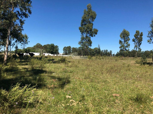 Venta Terreno Manga Camino El Cordero 36980m2 A Mts. Camino Pedro De Mendoza E Instrucciones